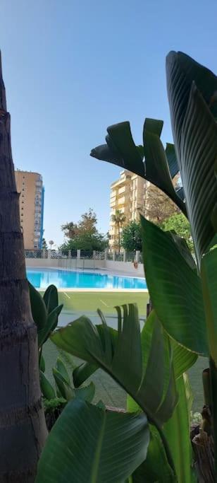 Elegante Alojamiento Con Piscina A 200 M Del Mar. Apartment Benalmadena Bagian luar foto